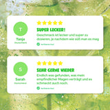 Waldmeister Zero Sugar Sirup (12x48ml)