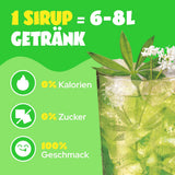 Waldmeister Zero Sugar Sirup (12x48ml)